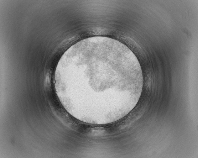 X0000111350214200908211242