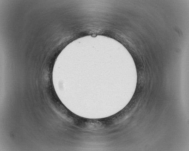 X0000111350215200908211242