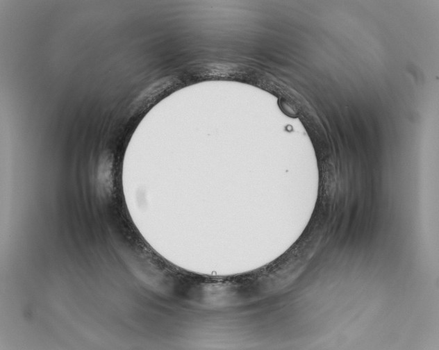 X0000111350216200908211242