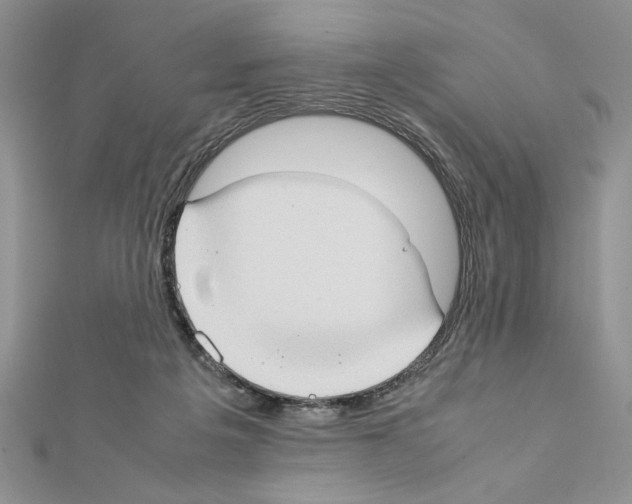 X0000111350217200908211241