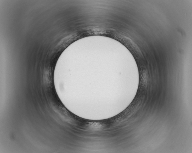 X0000111350218200908211241