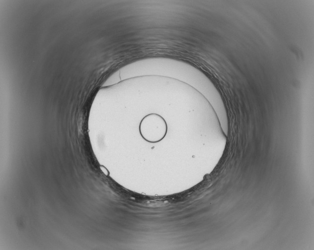 X0000111350219200908211241