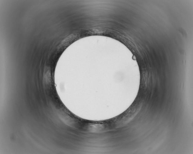 X0000111350220200908211241