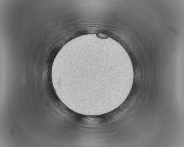 X0000111350221200908211241