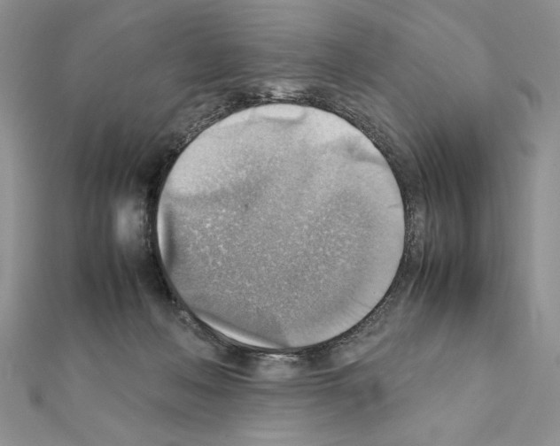 X0000111350222200908211241
