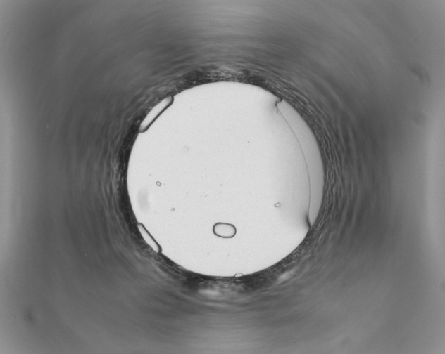 X0000111350223200908211241