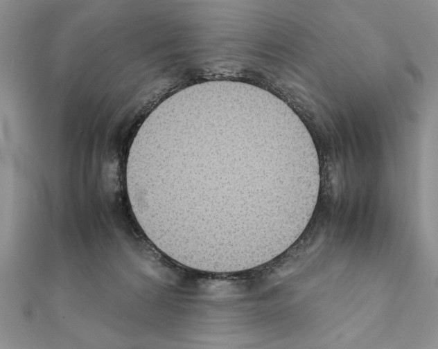X0000111350224200908211241