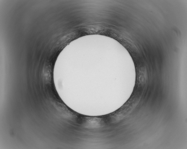 X0000111350226200908211241
