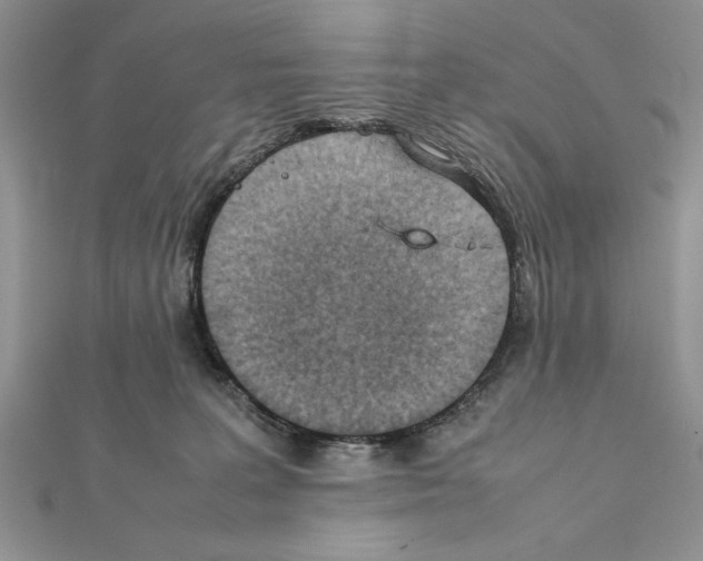 X0000111350227200908211241