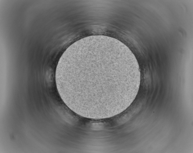 X0000111350228200908211241