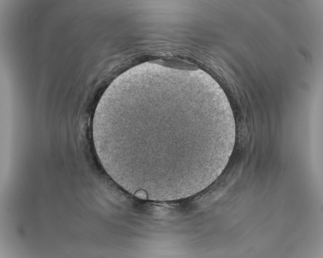 X0000111350229200908211241