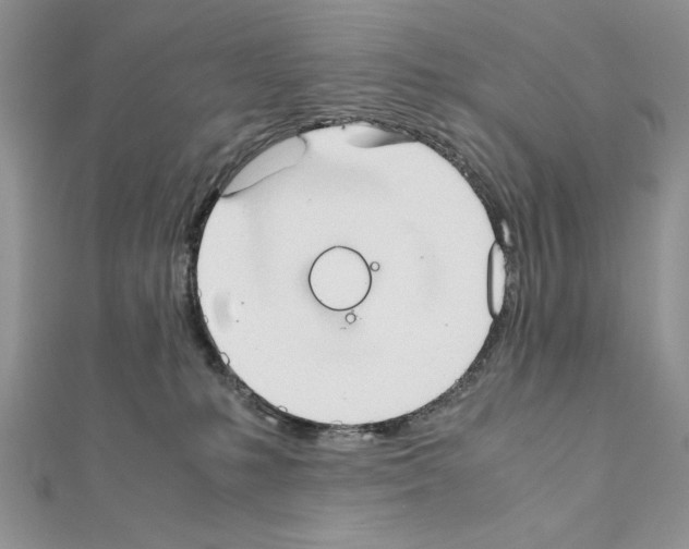 X0000111350231200908211241