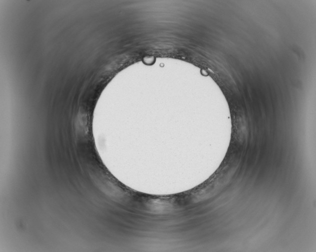 X0000111350232200908211241