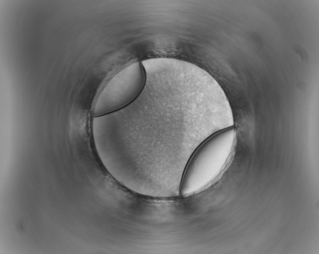 X0000111350233200908211241