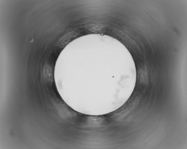 X0000111350234200908211241