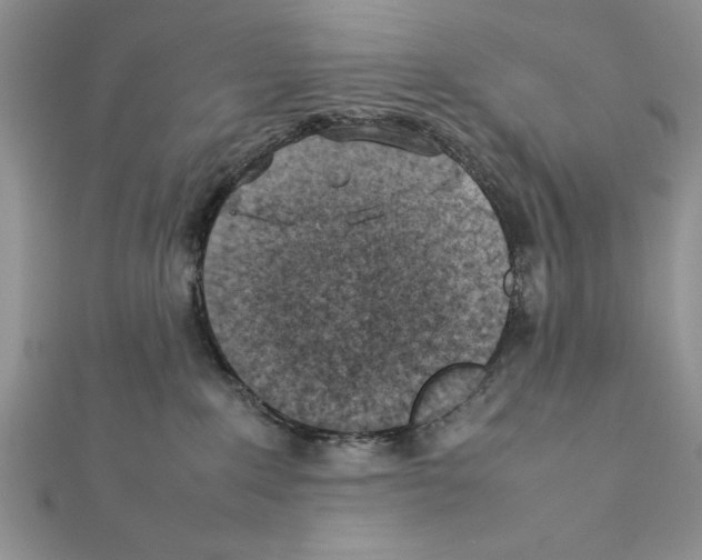 X0000111350235200908211241