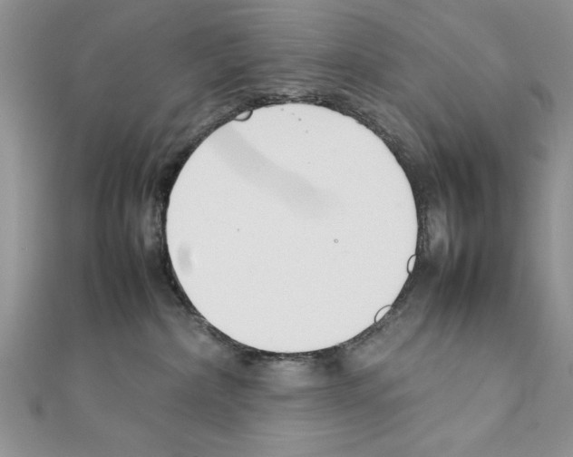 X0000111350236200908211241