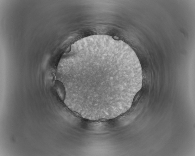 X0000111350237200908211241