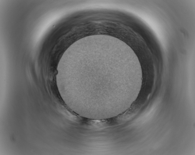 X0000111350239200908211241