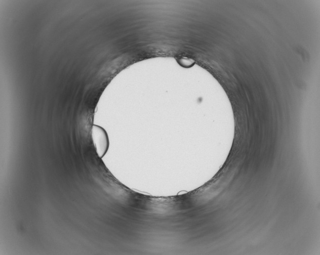 X0000111350240200908211241