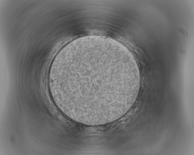 X0000111350241200908211240