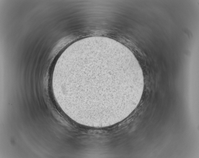 X0000111350242200908211240