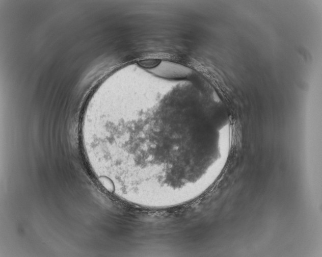 X0000111350243200908211240