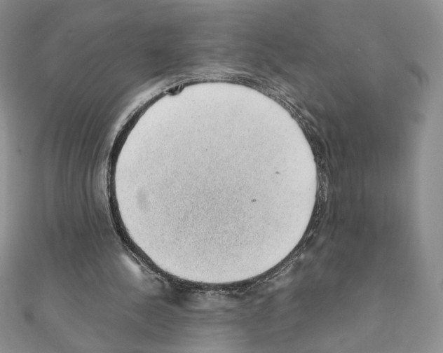 X0000111350244200908211240