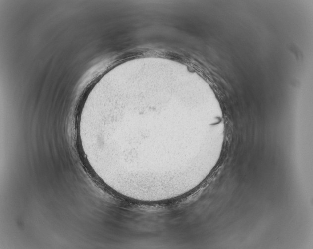 X0000111350245200908211240