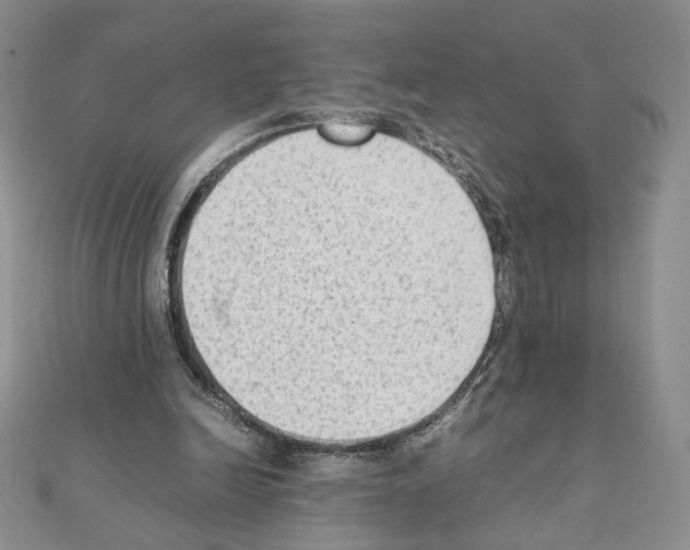 X0000111350246200908211240