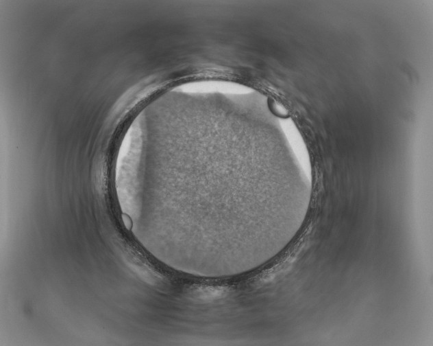 X0000111350247200908211240