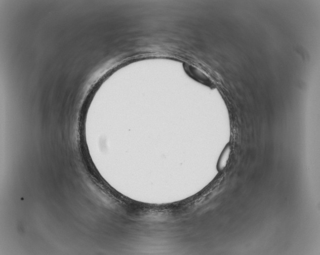 X0000111350248200908211240