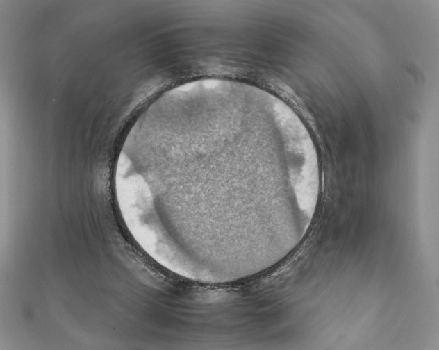 X0000111350249200908211241