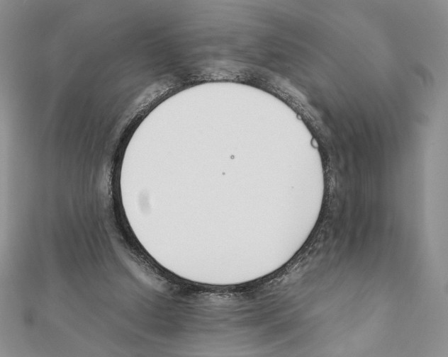 X0000111350250200908211241