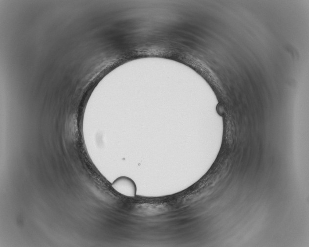 X0000111350251200908211241