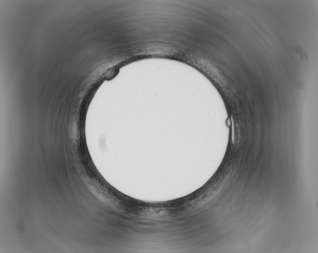 X0000111350252200908211241