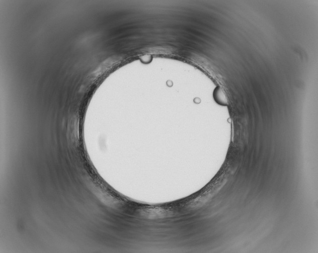 X0000111350253200908211241