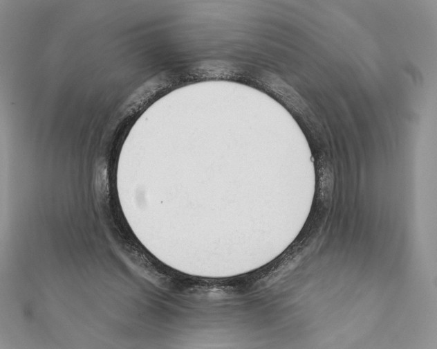 X0000111350254200908211241