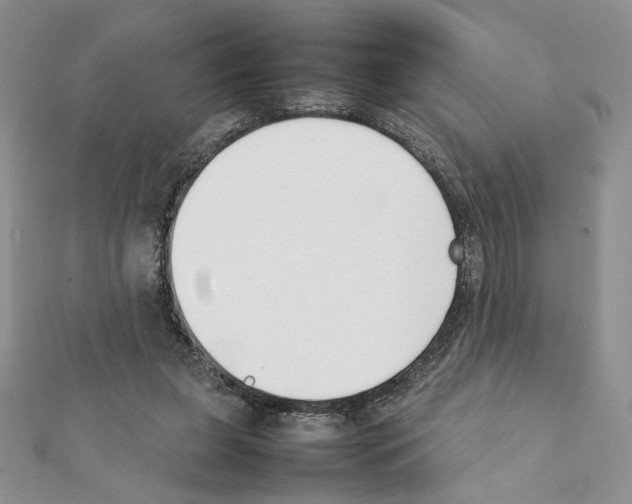 X0000111350255200908211241