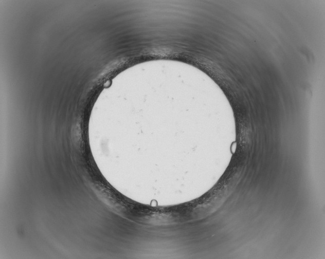 X0000111350256200908211241