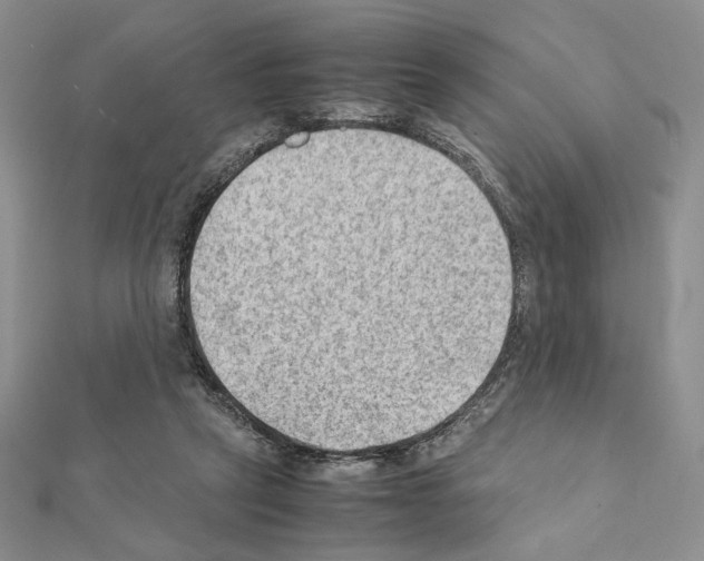 X0000111350257200908211241