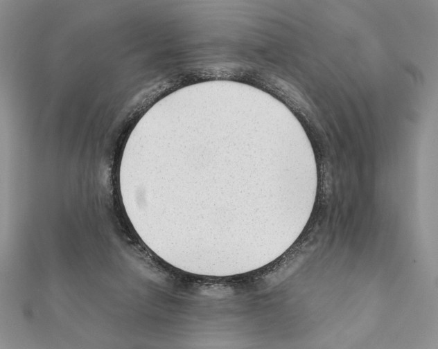 X0000111350258200908211241