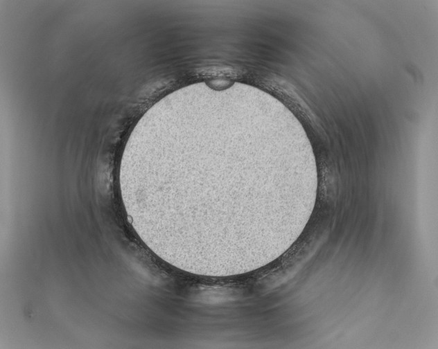 X0000111350259200908211241
