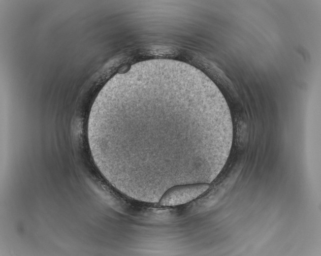 X0000111350260200908211241