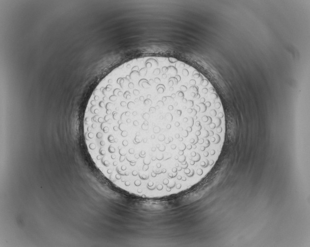 X0000111350261200908211241