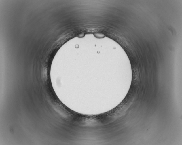 X0000111350262200908211241