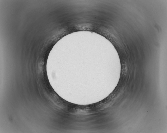 X0000111350263200908211241