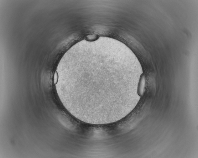 X0000111350264200908211241