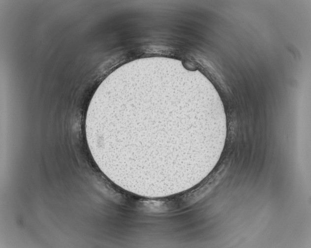 X0000111350265200908211241