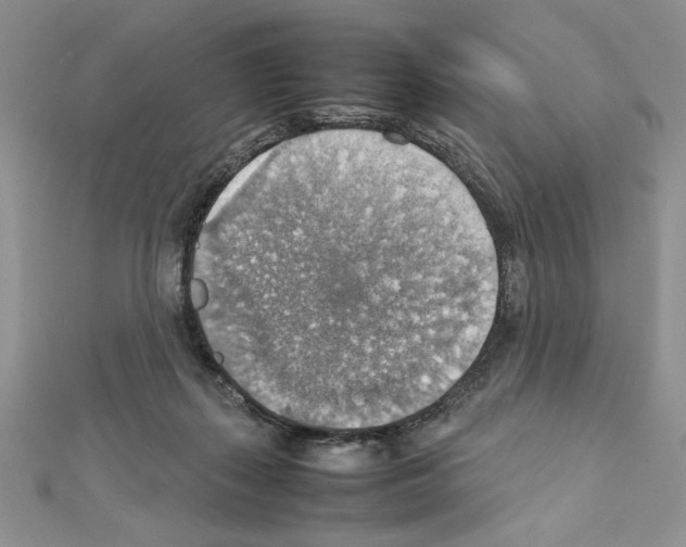X0000111350267200908211241